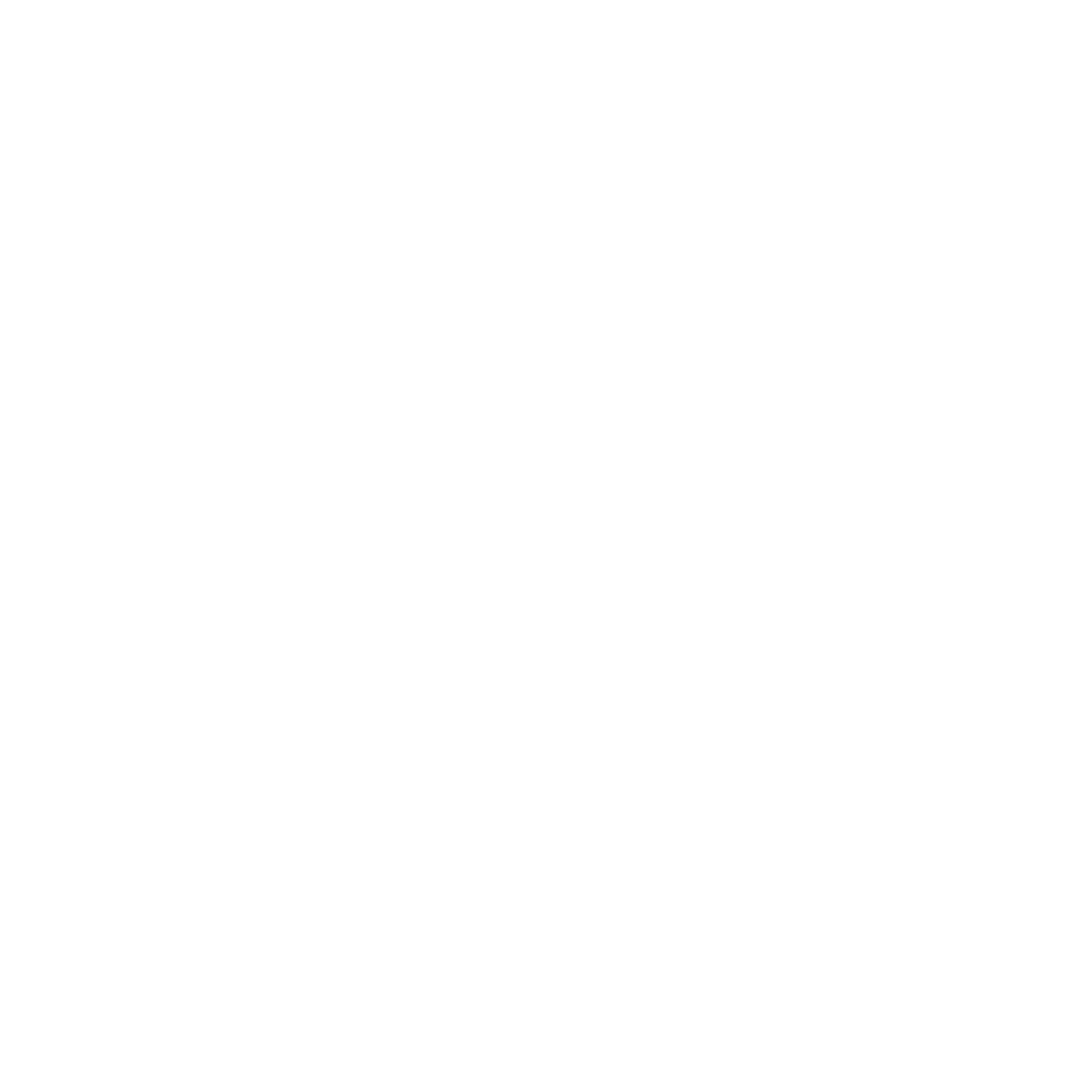 Formula 1